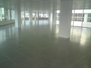 DSC00113